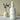 Midnight Vanilla Signature Fragrance Mist