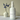 White bottle of 'Midnight Vanilla' fragrance mist with a vase and flowers on a light background