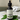 Bottle of Lantern & Veil Beard Conditioning Oil with tea tree leaves on a light surface.