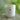 A white glass jar candle labeled 'The Atrium Enchanted Escapes' by Lazy Dog Candle, placed on a light wood surface with a soft green bokeh background.