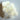 Close up image of ends of white fiber diffuser reeds on a white background